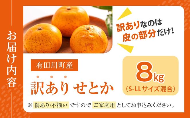 せとか ＜別名-みかんの大トロ＞ 和歌山県有田川町産 オレンジ 訳あり 8kg  	CE045