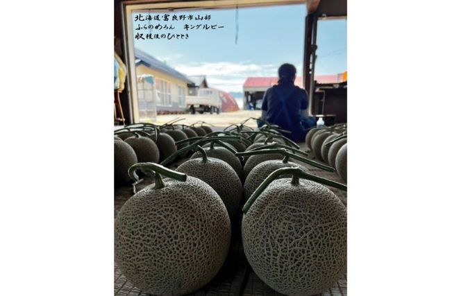 2026年夏発送 【数量・期間限定】 ふらのメロン キングルビー 秀大2玉 計4kg以上 富良野メロン 赤肉 めろん 北海道 甘い 大きい