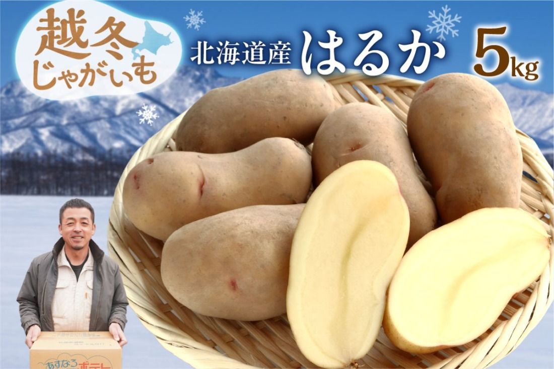 2026年発送分先行受付!ホクホク あま〜い! 低温貯蔵!北海道産 越冬じゃがいも はるか 約5kg