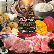 【定期便・全11回】日本一宮崎牛と小林市の魅力満載!!! 小林満足ワクワク定期便 30万円コース（国産 牛肉 国産牛 黒毛和牛 マンゴー お菓子 豚肉 鶏肉 キャビア 定期便）