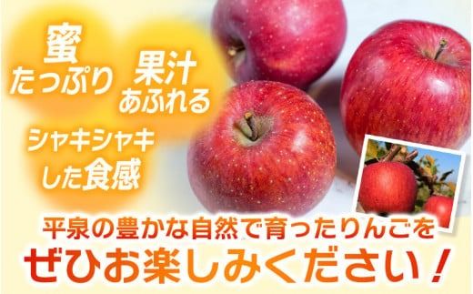 りんご・梨カテゴリ人気ランキング入り！≪12月末までの受付*無くなり次第終了≫【12月上旬より順次発送】大文字りんご園 サンふじ『大玉 約5kg』 (約10～12玉)  / 樹上完熟 りんご リンゴ 林檎 果物 くだもの フルーツ 甘い 旬 産地直送 予約 先行予約【dma513-sf-5D-big】