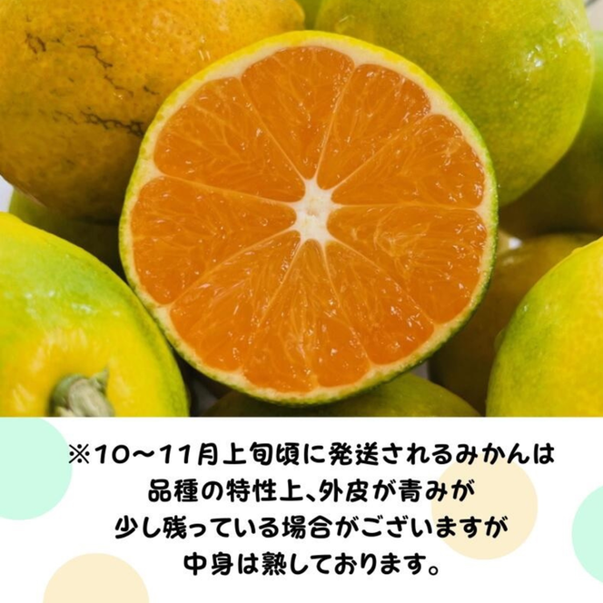 【先行予約】ご家庭用 完熟 有田みかん 7.7kg(7.5kg+200g(傷み補償分))