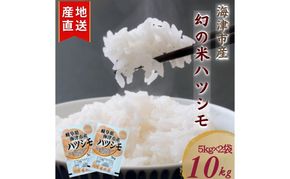 【令和7年度産/白米】ハツシモ 10kg 岐阜県海津市産