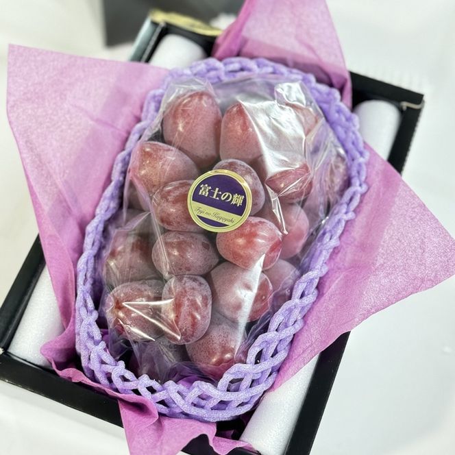 ぶどう 2026年 先行予約 話題の品種 富士の輝 1房詰め 特秀ランク 800g以上 特秀 葡萄 岡山県産 国産 フルーツ 果物 ギフト 【 Nini farm 農家 直送 】