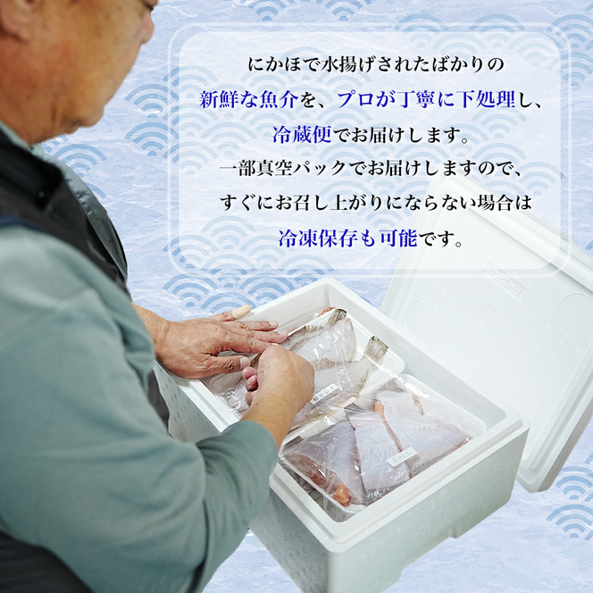 鮮魚 冷蔵 クール便「 開けたらすぐ食べられる下処理済み 海産物 4～5人前 セット 」さとう鮮魚店【 パック 詰め合わせ 海鮮セット 鮮魚ボックス 海鮮 海の幸 魚介 魚介類 刺身 切り身  秋田県 にかほ 】