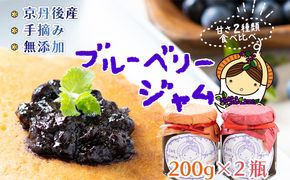 ジャム200g×2 　ブルーベリー ジャム 無添加 手作り 加工食品 2本 ぶるーべりー じゃむ フルーツ 果物 アントシアニン 完熟 国産 朝食 朝ごはん トーストヨーグルト 生産者応援 農家応援 FG00006
