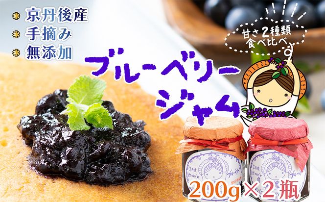 ジャム200g×2 　ブルーベリー ジャム 無添加 手作り 加工食品 2本 ぶるーべりー じゃむ フルーツ 果物 アントシアニン 完熟 国産 朝食 朝ごはん トーストヨーグルト 生産者応援 農家応援 FG00006