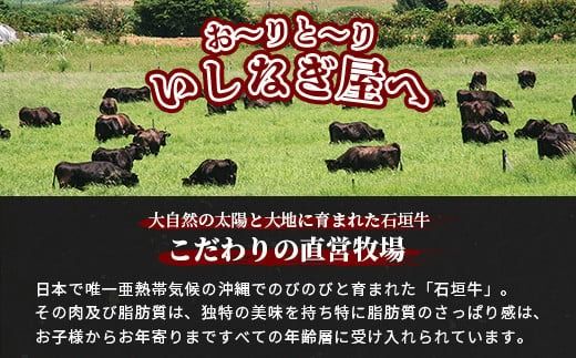 【全2回 定期便E】 石垣牛 ステーキ＆焼肉特盛セット・すきしゃぶ800g＆焼肉特盛セット　計3.2kg（いしなぎ屋）【 特選肉 肉 高級 黒毛和牛 和牛 牛 】AB-33