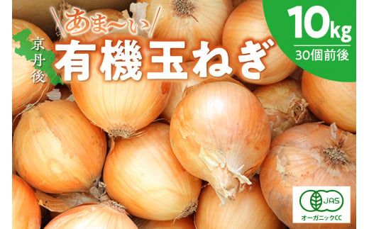 ys{Oszys\zs OY ÂL@ʂ˂ 10LyL@JAS擾zi2026N6{`j@DE00140