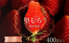 【限定100個】先行予約　京丹後産いちご堅しろう　400g以上（9～12粒）　いちご、イチゴ、けんしろう、堅しろう、京丹後、丹後、フルーツ、美食　BF00032