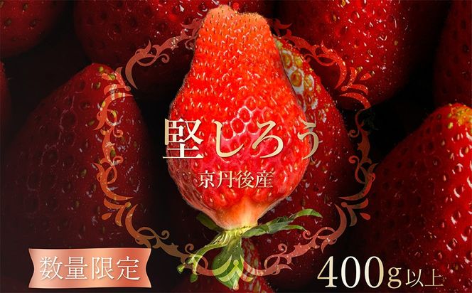 【限定100個】先行予約　京丹後産いちご堅しろう　400g以上（9～12粒）　いちご、イチゴ、けんしろう、堅しろう、京丹後、丹後、フルーツ、美食　BF00032