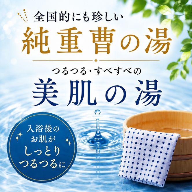 池田温泉 大人回数券1冊 (11枚つづり) チケット 温泉利用券 