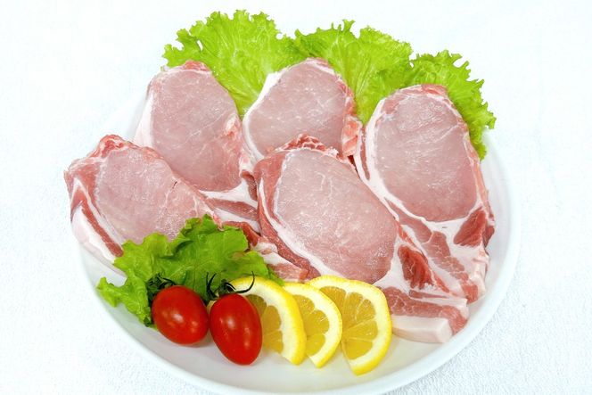 豚肉 宮崎県産豚肉 3.2kg 詰め合わせ セット [TRINITY 宮崎県 日向市 452061328] 小分け 豚 肉 宮崎 ロース スライス 豚バラ とんかつ 切り落とし ミンチ 豚ミンチ ひき肉 真空パック