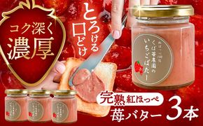 いちごバター 3本セット 果物 フルーツ 紅ほっぺ 愛西市 / くぼ苺農園 【配達不可：離島】[AECJ023]