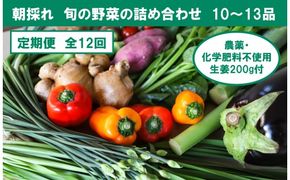 【12回定期便】栽培期間中に農薬不使用の生姜200gと旬の野菜詰め合わせ10～13品目 野菜 野菜セット 詰め合わせ しょうが ショウガ 旬 新鮮 朝どれ 取り寄せ 定期便【株式会社SIMA】 [BQAZ008]