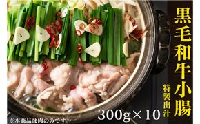黒毛和牛トロホルモン（小腸）　特製だし3kg ( 300g × 10パック )【2026年6月発送】 141305_KZ52VC06