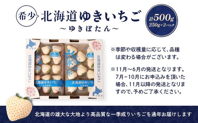 ykCWÒzy11ȍ~AIzykCYz䂫ij 2PZbg 250g×2 v500g  C`S  GC`S 䂫ڂ p[zCg   Mtg  ӂ邳Ɣ[ kC WÁy59001z