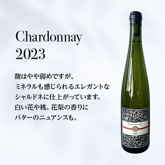バックヴィンテージ 北海道仁木町 白2種飲み比べセット【Domaine Bless×naritaya】 お酒 酒 果実酒 晩酌 葡萄 ぶどう ブドウ 料理 食事 お祝い 北海道 仁木町 飲み比べ