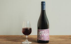 アールペイザンワイナリー　赤ワイン「メルロー」2本セット 【2377】