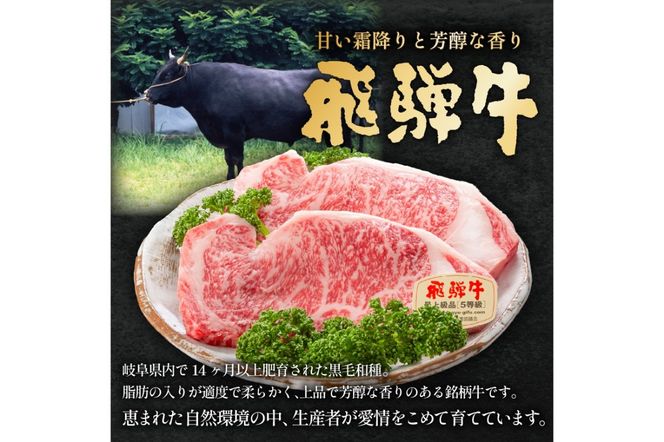 飛騨牛ヒレステーキ　340g(170g×2枚) 【中日ドラゴンズコラボ】 【0016-112】