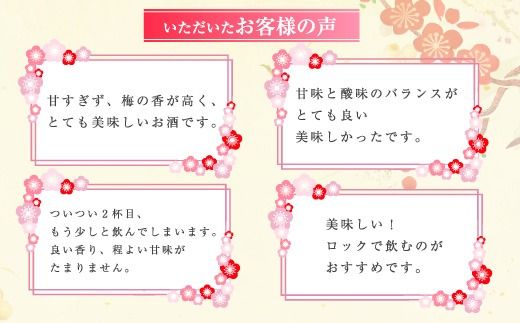 知多梅酒720ml 1ケース ◆ ❘ 梅酒　お酒　國盛　國盛FARM　果実酒　食前酒　リキュール　ロック　ソーダ割　紅南高梅　南高梅　完熟梅　フルーツ　愛知県　美浜町　中埜酒造