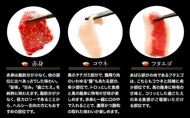 贅沢バラエティセット 520g 千興ファーム 馬肉 冷凍 《60日以内に出荷予定(土日祝除く)》 新鮮 さばきたて 生食用 肉 熊本県御船町 馬刺し 馬肉 惣菜 希少部位---mifune_snk_30_520g---