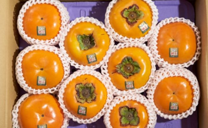 柿 秋王 あきおう 約3kg箱 8～12玉 配送不可 離島 果物類 かき 