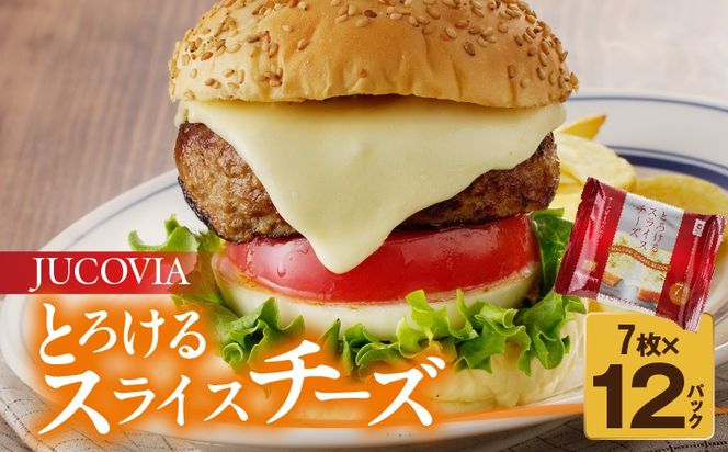 y{򍲖sz010B1635 yJ`[YzJUCOVIA Ƃ낯XCX`[Yy 7×12P ig ] [z