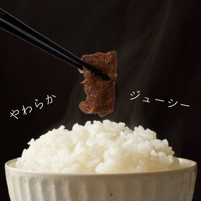 国産 豚 ハラミ 秘伝のタレ 味付け 600g ~ 1.8kg 2パック ~ 6パック 1パック 300g 小分け 豚肉 豚ハラミ タレ付け タレ ハラミ肉 焼き肉 焼肉 焼肉セット 冷凍 BBQバーベキュー グルメ おすすめ 人気  マイエミート 高知県 安芸市