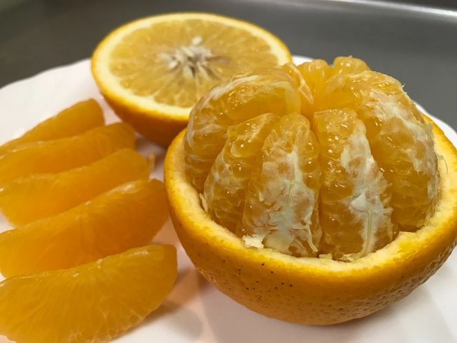 家庭用 5.5kg 訳あり 傷多め 4月 まで 木成 完熟 させた 有田 はっさく L または M サイズ 茶箱 南泰園 みかん  	BS768