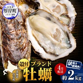 4月配送 訳あり ハーフ 規格外 牡蠣 北海道厚岸産 殻付カキ 約2kg（11～25個）カキナイフ付 生食 魚貝類 生牡蠣 かき 生カキ カキフライ マルえもん いびつな形 四季によって違う味わい コクがあり濃厚