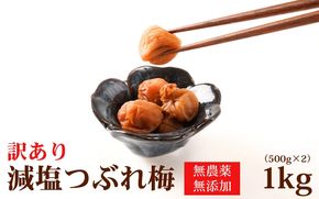 【梅干し 紀州南高梅】 梅干し無農薬、無添加の訳あり減塩つぶれ梅　1kg（500×2）塩分3％ 和歌山 梅干し 紀州南高梅 南高梅 梅干 梅 うめ 肉厚 お米 おにぎり 焼酎【baiko002A】