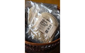 【栽培期間中農薬・化学肥料不使用】玄米麺10袋セット　ヤマウカワファーム グルテンフリー＆ヴィーガン　パスタやうどん、そばの代用食にも　YF00013