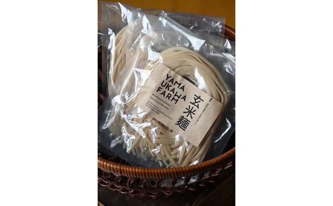 【栽培期間中農薬・化学肥料不使用】玄米麺10袋セット　ヤマウカワファーム グルテンフリー＆ヴィーガン　パスタやうどん、そばの代用食にも　YF00013