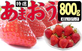 いちご 2027年2月下旬より発送 特選あまおう 800g※配送不可：離島 果物 フルーツ デザート 食後 特別栽培 大玉 贈答用 贈り物 福岡県産 国産 日本産 