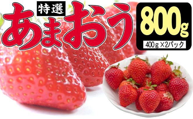 いちご 2027年2月下旬より発送 特選あまおう 800g※配送不可：離島 果物 フルーツ デザート 食後 特別栽培 大玉 贈答用 贈り物 福岡県産 国産 日本産 