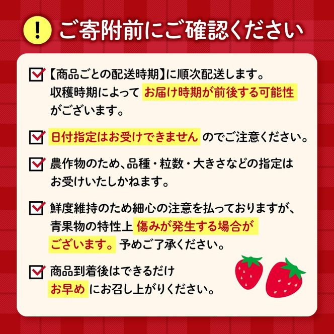 いちご 【先行予約】  2027年1月～発送予定【全3回定期便】 いちご きらぴ香 約1kg 約250g×4パック （1月、2月、3月発送） 朝どれ 完熟 苺 産地 直送 フレッシュ イチゴ 贈答 フルーツ 果物 国産 静岡県 藤枝市