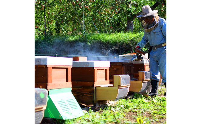 はちみつ 志賀高原BUNBUN りんご蜜300g ハチミツ 蜂蜜 山ノ内町