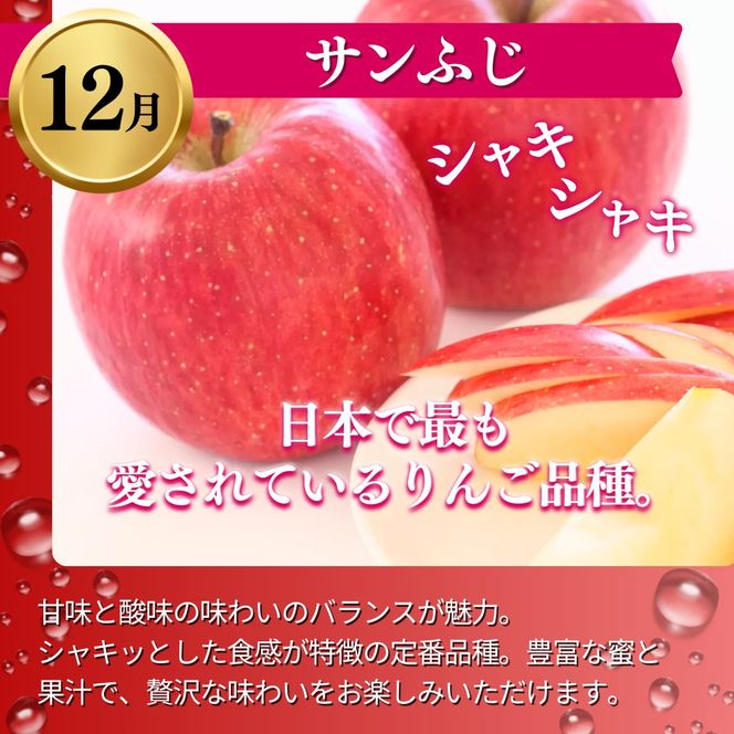 【2026年発送】定期便 3ヶ月 志賀高原季節のりんご定期便3回コース りんご シナノスイート ぐんま名月 サンふじ リンゴ フルーツ 果物 デザート おやつ 長野県 長野 定期 お楽しみ 3回