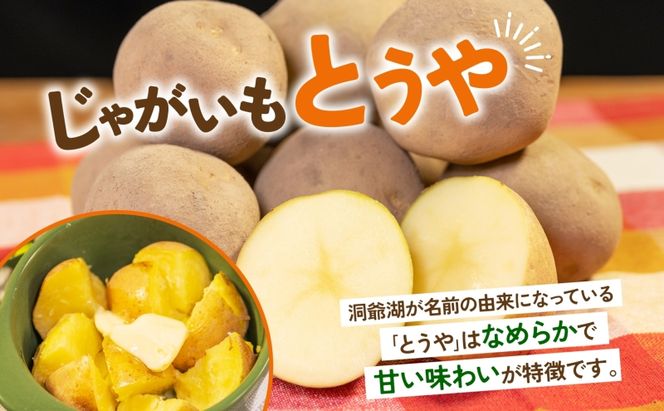 北海道産 青野農園 じゃがいも とうや Lサイズ 約10kg 2026年10月初旬～12月下旬頃お届け 先行予約 北海道 ジャガイモ トウヤ 馬鈴薯 ポテト 芋 いも イモ 黄色 旬 野菜 農作物 産地直送 お取り寄せ 国産 