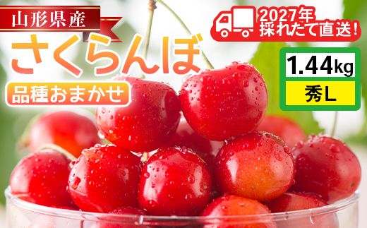 FYN6-629 ≪2027年先行予約≫山形県産 品種おまかせ さくらんぼ(佐藤錦・紅秀峰など) 1.44kg(180g×8パック) 秀品 L以上 フードパック詰め 2027年6月中旬から順次発送 果物 くだもの フルーツ サクランボ チェリー 自宅 家庭 産地直送 山形県 西川町 月山