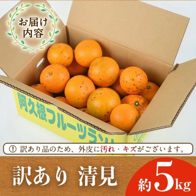 ＜先行予約受付中！2027年2月以降順次発送予定＞訳あり 清見(約5kg) 国産 鹿児島県 阿久根市 果実 果物 フルーツ 柑橘 みかん ミカン きよみ 訳アリ 期間限定 数量限定 【桐野柑橘株式会社】akn070-20