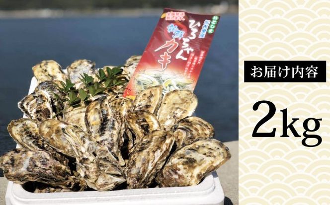 加熱用  殻付き牡蠣 2kg 牡蠣 活カキ 殻付き カキ 活牡蛎 糸島市 / ひろちゃんカキ[AJA021]
