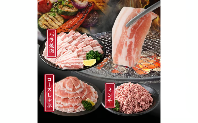 鹿児島県産 豚肉 バラエティ セット6種 計5.4kg b5-201