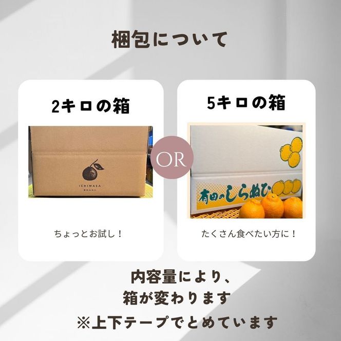 【ふるさと納税】【先行予約】 不知火 2kg 訳あり サイズ混合 柑橘 フルーツ  産地直送 お取り寄せ 送料無料 FA12