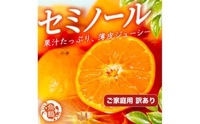【先行予約】【訳あり・ご家庭用】 セミノールオレンジ 約5kg ジューシー柑橘 和歌山県産