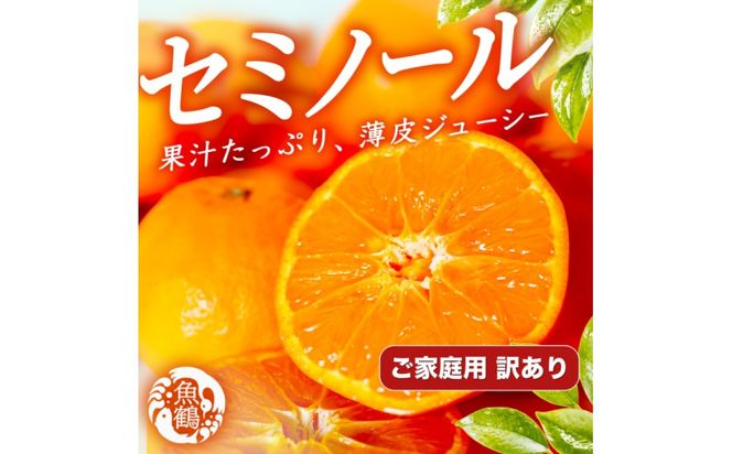 【先行予約】【訳あり・ご家庭用】 セミノールオレンジ 約5kg ジューシー柑橘 和歌山県産