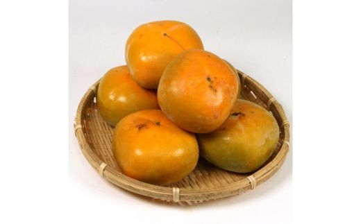 家庭用 訳あり たねなし 柿 5kg 【刀根早生・平核無柿（ひらたねなしかき）】