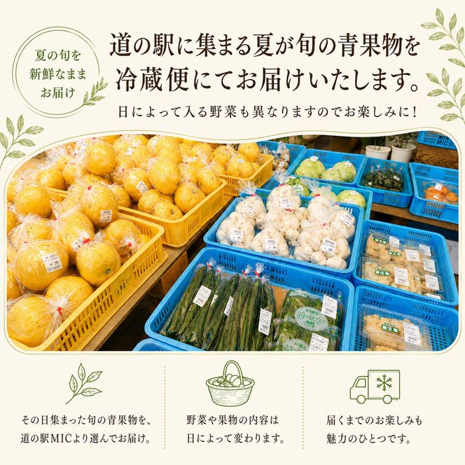 愛南町 旬 の 夏野菜 セット 柑橘 入りの場合も 最低3～4種類 野菜 サラダ 新鮮 葉物 根菜 香味 定番野菜 河内晩柑 かわちばんかん なす ピーマン 愛媛 愛南 愛南総研 道の駅MIC
