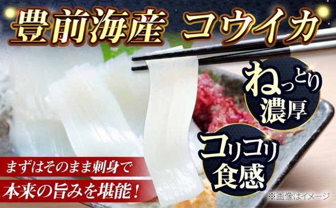 【先行予約】【2027年3月下旬以降順次発送】築上町で捕れた コウイカ 約2kg (5～10杯)《築上町》【明青丸】 [ABCB007]